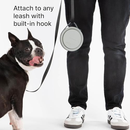 Cleverpup Nomad Small Collapsible Travel Dog Bowl - 2 Cup, Grey Silicone
