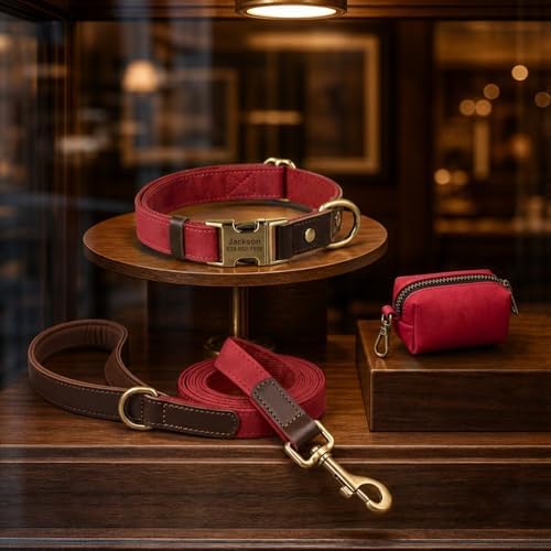 Personalized PU Leather Dog Collars, Quick Release Buckle, Red,M