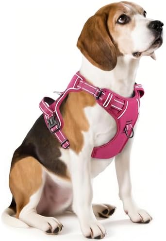 HEELE Dog Harness for Medium Dogs No Pull Dog Vest Harness with Soft Padded Handle Reflective for Outdoor Training, Rose(Matching Trim), M