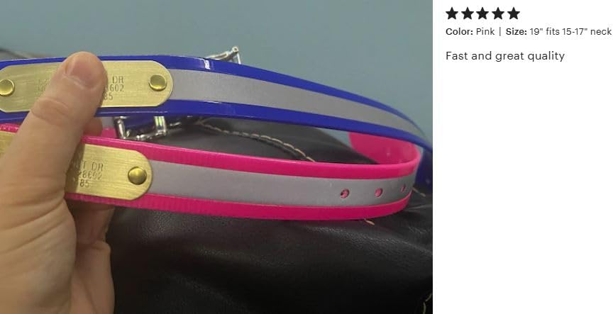 Reflective Dayglo Dog Collar Free Engraved Brass ID tag USA (Pink 25")