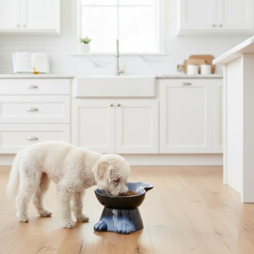 Nihow Elevated Ceramic Dog Bowls: 6.5 Inch Raised Dog Bowl for Food & Water