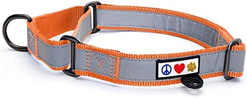 Pawtitas Orange Reflective Martingale Dog Collar, Small