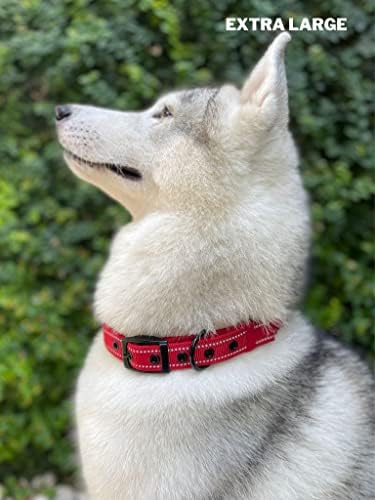 Tuff Pupper Heavy Duty Dog Collar with Handle | Ballistic Nylon Heavy Duty Collar | Padded Reflective Dog Collar with Adjustable Stainless Steel Hardware | Convenient Sizing for All Breeds