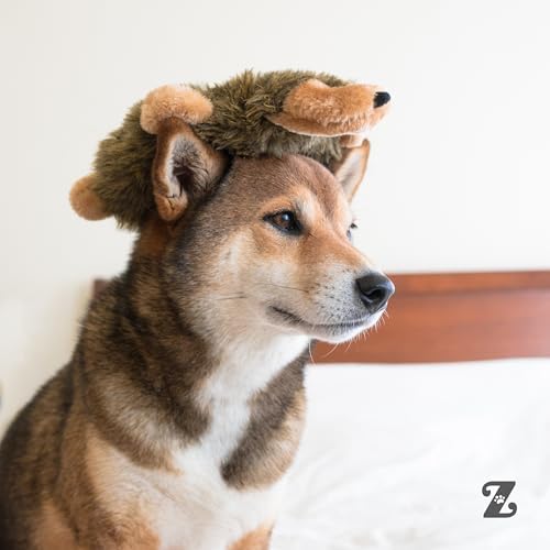 ZippyPaws Loopy No Stuffing Dog Toys to Keep Them Busy - 10"