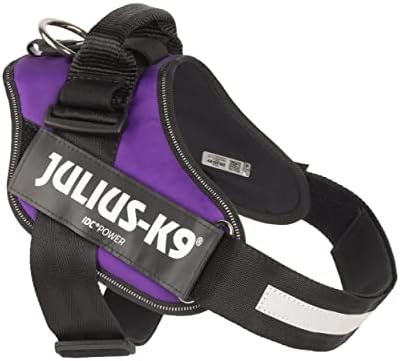 Julius-K9 IDC Powerharness, Size: L/1, Dark Purple