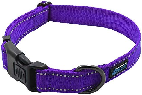 Max and Neo NEO Nylon Buckle Reflective Dog Collar - Large, Purple