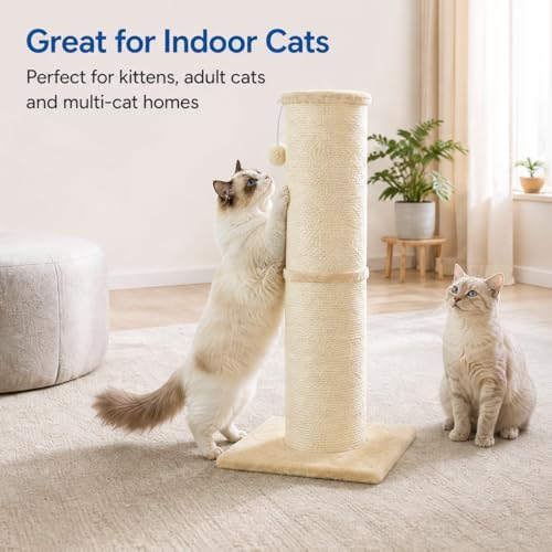 Cat Scratching Post with 5.5 Inch Diameter Sisal Post, 32 Inch, Beige