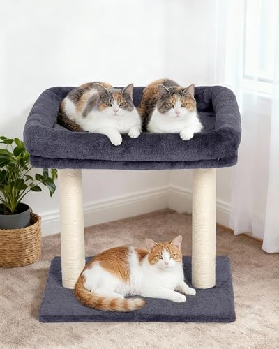 19" Small Cat Tree with Scratching Post for Indoor Cats with Perch