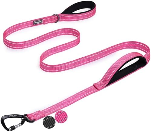 VIVAGLORY Double Handle Dog Leash Twingrip, 4ft x 1in, Pink-Carabiner