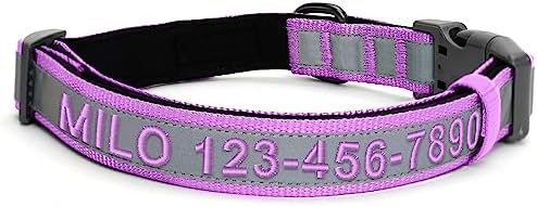 Pawtitas Personalized Dog Collar Reflective Dog Collar Padded Dog Collar with Name Phone Number Puppy Collar Adjustable Customized Collar for Medium Dogs Breeds | Customized Orchid Medium Dog Collar