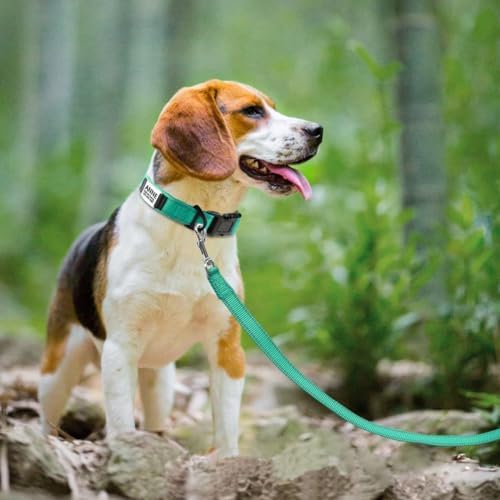 Joytale Personalized Dog Collar with Name Plate Built-in for Medium Dogs