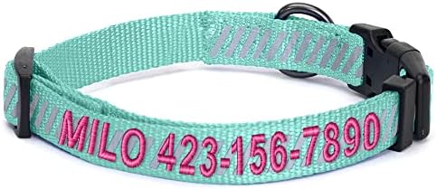 Pawtitas Reflective Dog Collar - Personalized Name & Phone Number, Adjustable for Extra Small & Small Dogs, Teal