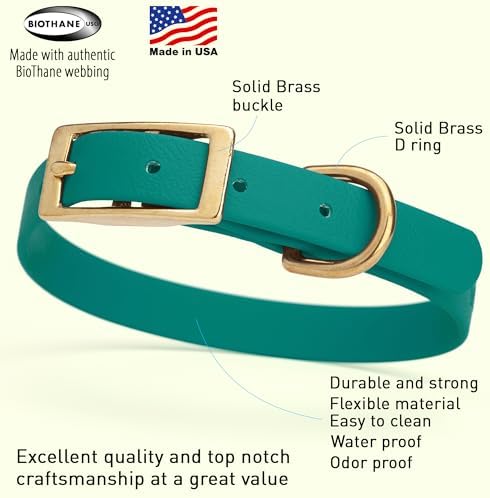 Viper Biothane Heavy Duty Waterproof Dog Collar Strong Coated Nylon Webbing w/Solid Brass Hardware Odor-Proof Easy to Clean High Performance Fits Small Medium or Large Dogs, Blue Aqua