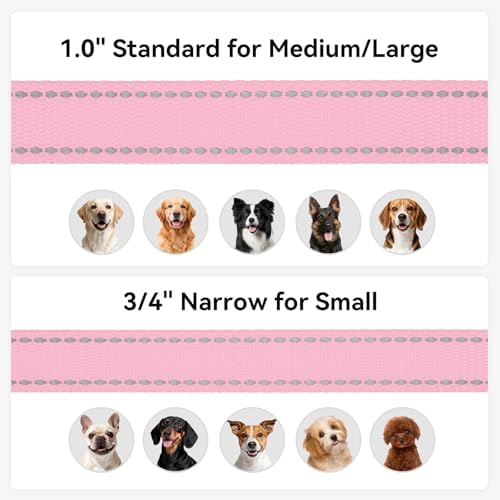 Joytale Reflective Dog Leash for Small Dogs, 4 FT x 3/4", Pink