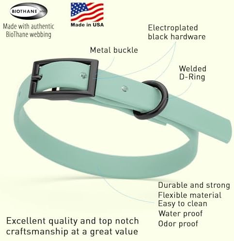 Dogline Biothane Waterproof Dog Collar Strong Coated Nylon Webbing with Black Hardware Odor- Proof for Easy Care Easy to Clean High Performance Fits Small Medium or Large Dogs, Sage Green