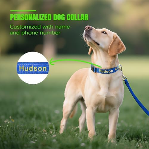 Personalized Dog Collar, Reflective Embroidered Nylon Collar with Name