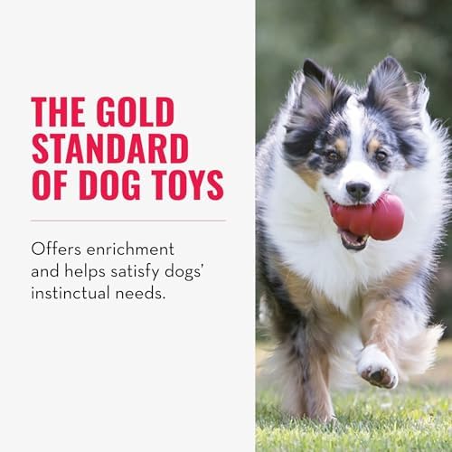 KONG Classic Stuffable Toy, Natural Rubber, Extra Large Dogs (Pack of 2)
