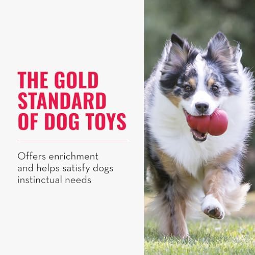 KONG Classic Stuffable Dog Toy, Natural Rubber, for Large Dogs (Pack of 2)