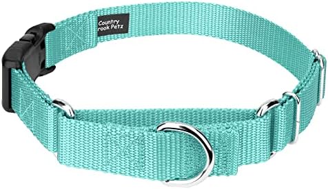 Martingale Dog Collar - Heavy Duty Nylon Adjustable Martingale Dog Collar with Plastic Buckle for Small Medium Large Breeds - 30+ Colors (1 Inch, Medium, Light Cyan)