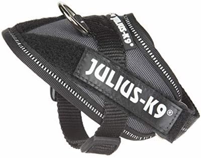 Julius-K9 IDC Powerharness, Size: 3XS/Baby 1, Anthracite