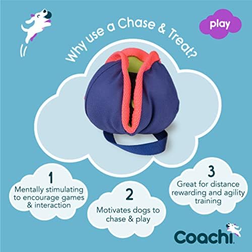 Company of Animals Coachi Chase & Treat - A Fun Enrichment Dog Toy