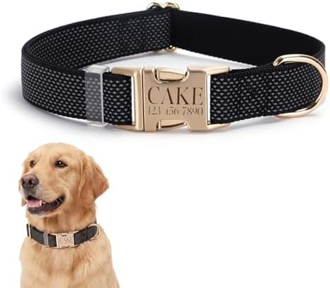 Custom Dog Collar with Name and Phone Number