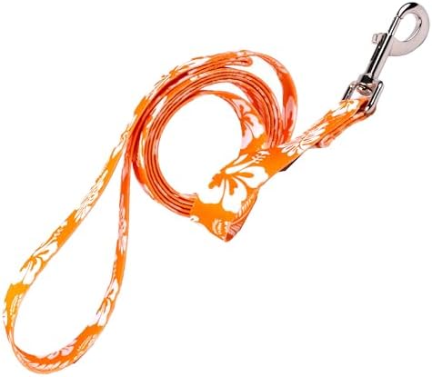 Country Brook Petz - Orange Hawaiian Everyday Dog Leash - Summer Breeze Collection Featuring Sunny Designs (6 Foot, 1/2 Inch Wide)