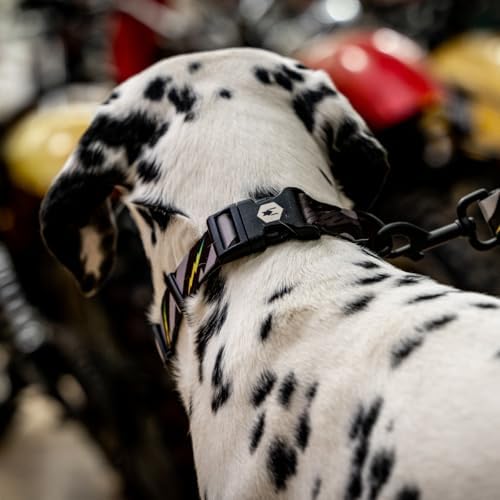 Wolfgang Heavy Duty, Adjustable Dog Collar with Quick Release Nylon Buckle for Walking & Training, DarkSkies Print, Small