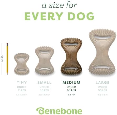 Benebone Dental Dog Chew Toy for Aggressive Chewers, Real Bacon, Medium