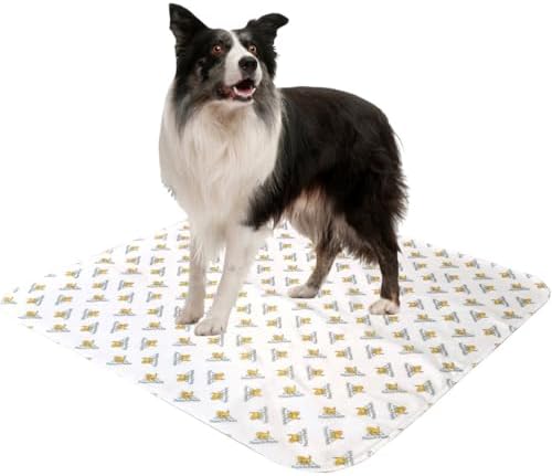 PoochPad Original Washable, Reusable Dog Potty Pad, Large, 2 Pack