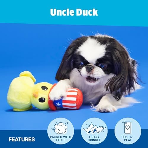BarkBox Uncle Duck Dog Toy - Toy for Small to Medium Dogs