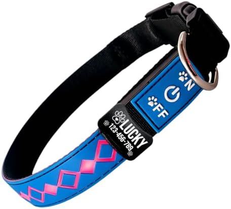 Personalized Flashing Dog Collar with Laser Engraved ID Tag