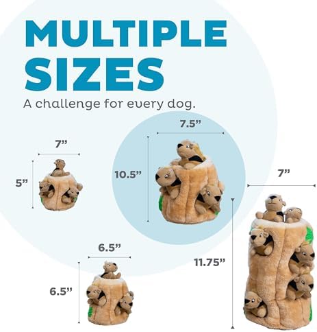 Outward Hound Hide-A-Squirrel Plush Squeaky Dog Toy, Large, 10.5" x 7.5"