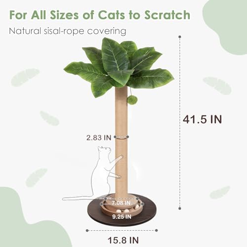 41.5" Tall Cat Scratching Post, Canna Leaf Cat Scratcher with Sisal Rope & Interactive Toys for Indoor Cats