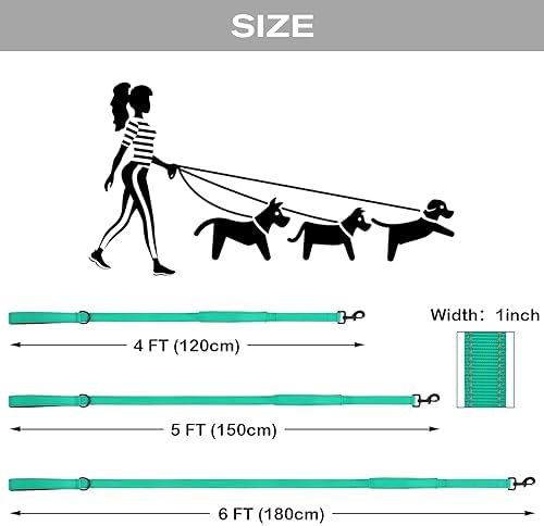 Joytale Dog Leash for Large Dogs that Pull, Double Handle, 5FT, Teal