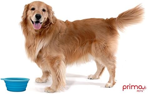 Prima Pet Expandable / Collapsible Silicone Food & Water Travel Bowl with Clip for Medium & Large Dog, Portable and Durable Pop-up Feeder for Convenient On-the-go Feeding, Size: 5 Cups (7 Inch Diameter Bowl) (LARGE (5 CUPS), AQUA)