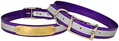 Reflective Dayglo Dog Collar Free Engraved Brass ID tag USA (Purple 27")