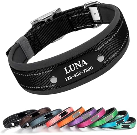 Custom Dog Collar with Engraved Name & Number, Black: S