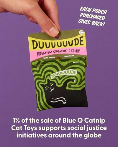 Blue Q Catnip - Cute Cat Toys for Biting with Funny Graphics - Duuuuuuuude
