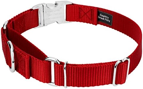 Country Brook Petz - Martingale Dog Collar - Heavy Duty Nylon Adjustable Martingale Dog Collar with Metal Buckle for Small Medium Large Breeds 30+ Color Options (3/4 Inch, Small, Red)