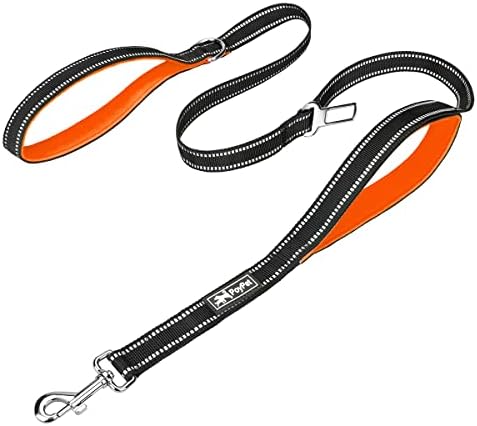 PoyPet 5 Feet Dog Leash with 2 Cushioned Handles (Orange)