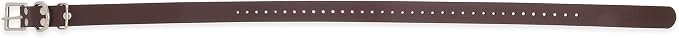 Educator 1-Inch Dog Training Collar Strap – ONLY Fits FE-580, ET-800 & UL-1200 Receivers – NOT Compatible with Mini Educator (ET-300/ET-400) – Durable Biothane Collar, Brown