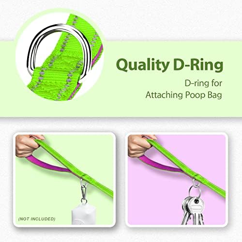 PHOEPET 5 Feet Dog Leash with Comfortable Padded Handle Easy Snap Clasp