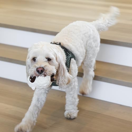 rocket & rex Puppy Chew Toys for Teething, Rope & Plush Set (3pk)