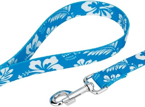 Country Brook Petz - Blue Hawaiian Everyday Dog Leash - Summer Breeze Collection Featuring Sunny Designs (4 Foot, 1/2 Inch Wide)