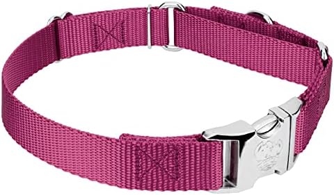 Country Brook Petz - Martingale Dog Collar - Heavy Duty Nylon Adjustable Martingale Dog Collar with Metal Buckle for Small Medium Large Breeds - 30+ Color Options (1 Inch, Large, Rose)