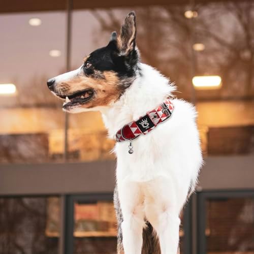 TSPRO Heavy Duty Thick Dog Collar with Metal Buckle for Large Dogs