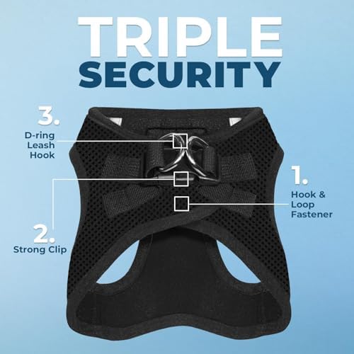 Best Pet Supplies Voyager Step-in Air All Weather Mesh Harness and Reflective Dog 5 ft Leash Combo with Neoprene Handle, for Small, Medium and Large Breed Puppies - Black, XL