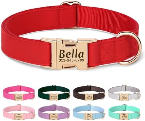 PET ARTIST Personalized Dog Collars, Custom Engraved Red Dog Collar with Silent Name Tag, Gold Quick Released Buckle & Soft Nylon Padded, Elegant Colors & Matching Leash for Small Dogs,S Fit 9-14"