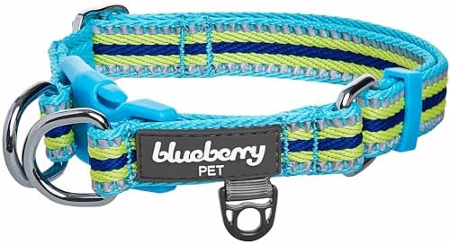 Blueberry Pet Safety Dog Collar with Dual D-Rings | 3M Reflective Multi-Colored Adjustable Collar in Blue and Yellow | Soft Nylon Dog Collar for Active Small Dogs